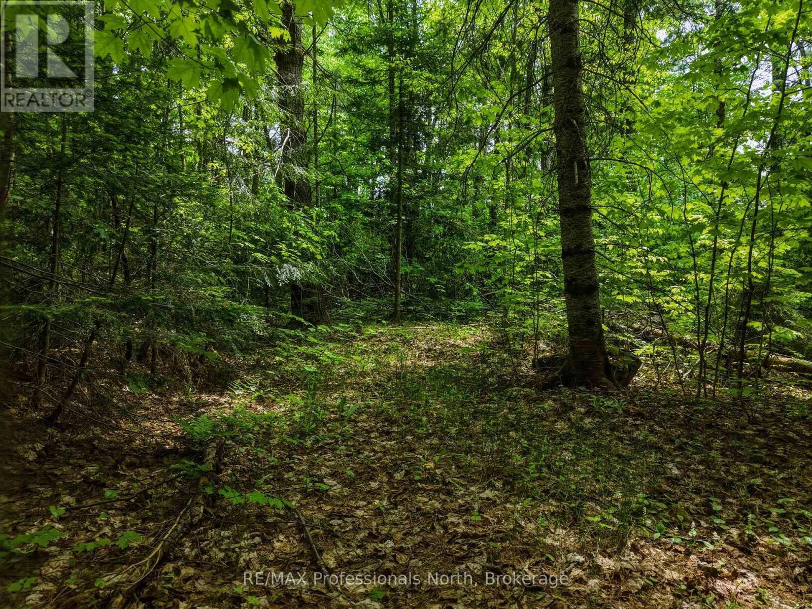 2445 Manitoba Street, Bracebridge (Monck (Bracebridge)), Ontario  P1L 1X4 - Photo 6 - X13505916