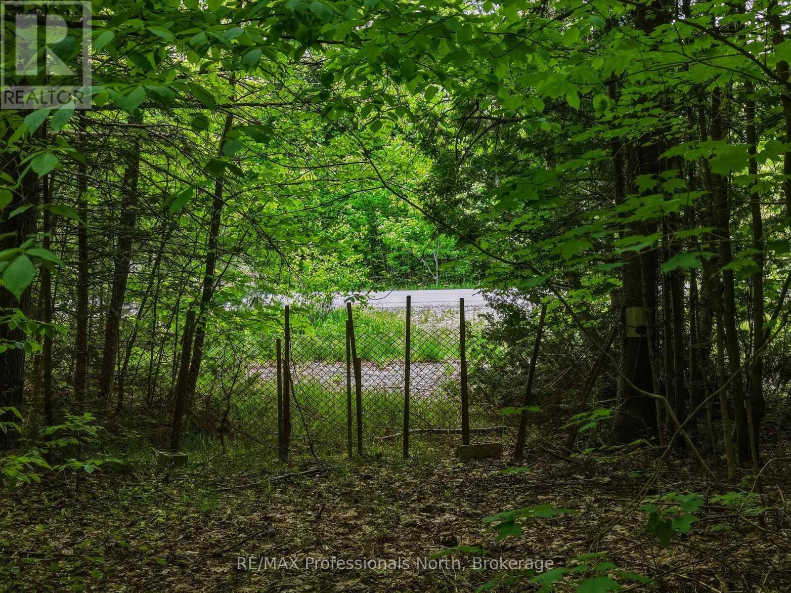 2445 Manitoba Street, Bracebridge (Monck (Bracebridge)), Ontario  P1L 1X4 - Photo 9 - X13505916