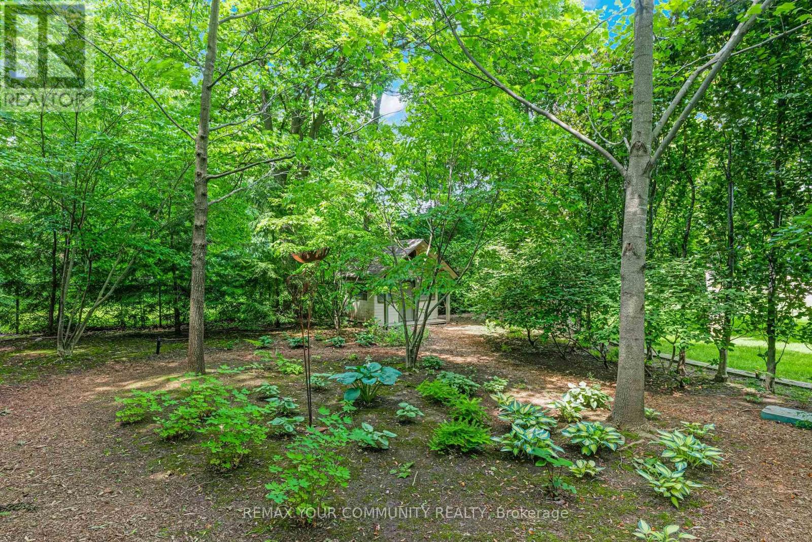 84 Centre Street W, Richmond Hill, Ontario  L4C 3P7 - Photo 47 - N13505932