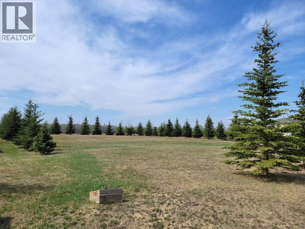 Lot 4 Tower Road, Athabasca, Alberta  T9S 0B8 - Photo 1 - A2137324