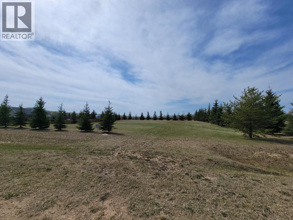 Lot 4 Tower Road, Athabasca, Alberta  T9S 0B8 - Photo 5 - A2137324