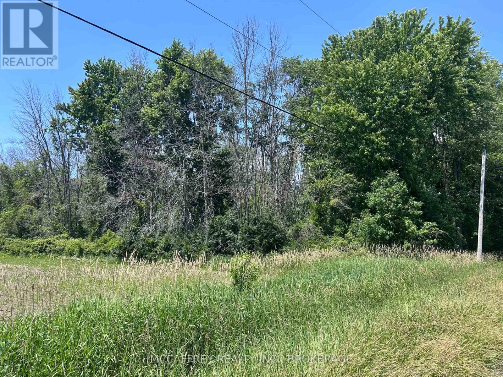 358 Townline Road, Greater Napanee, Ontario  K0H 1G0 - Photo 2 - X13506196