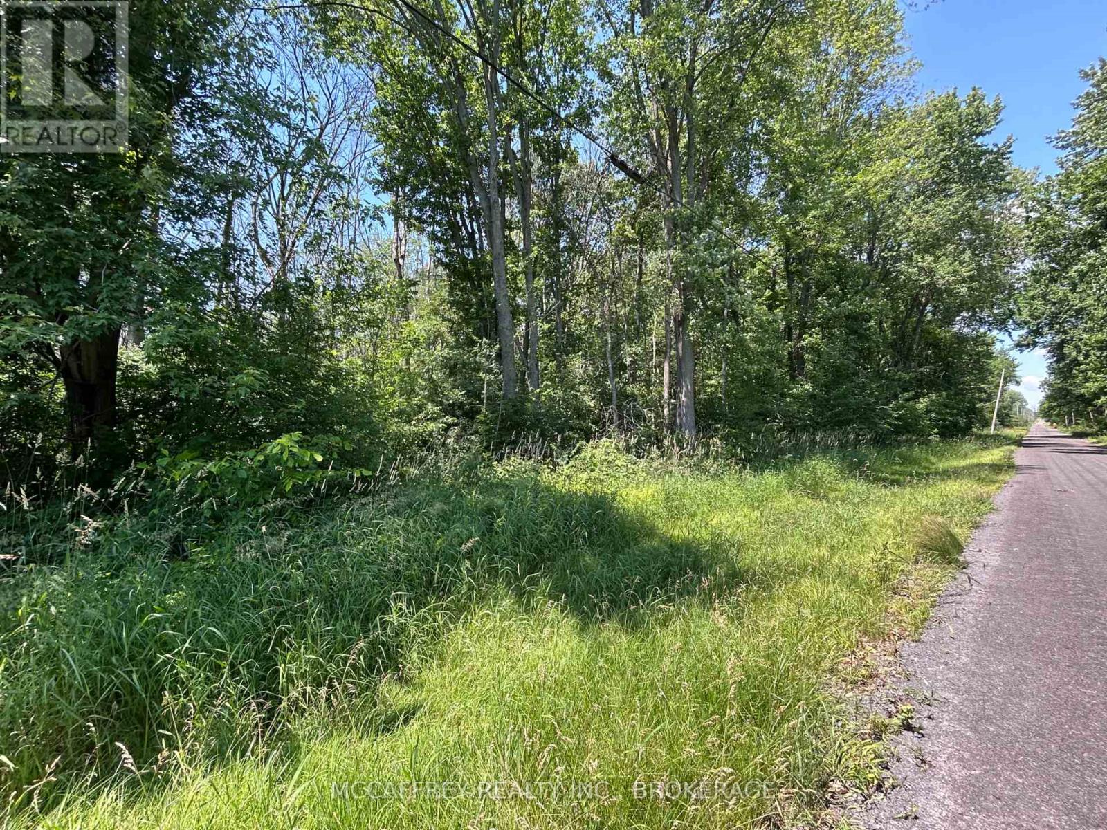 358 Townline Road, Greater Napanee, Ontario  K0H 1G0 - Photo 3 - X13506196