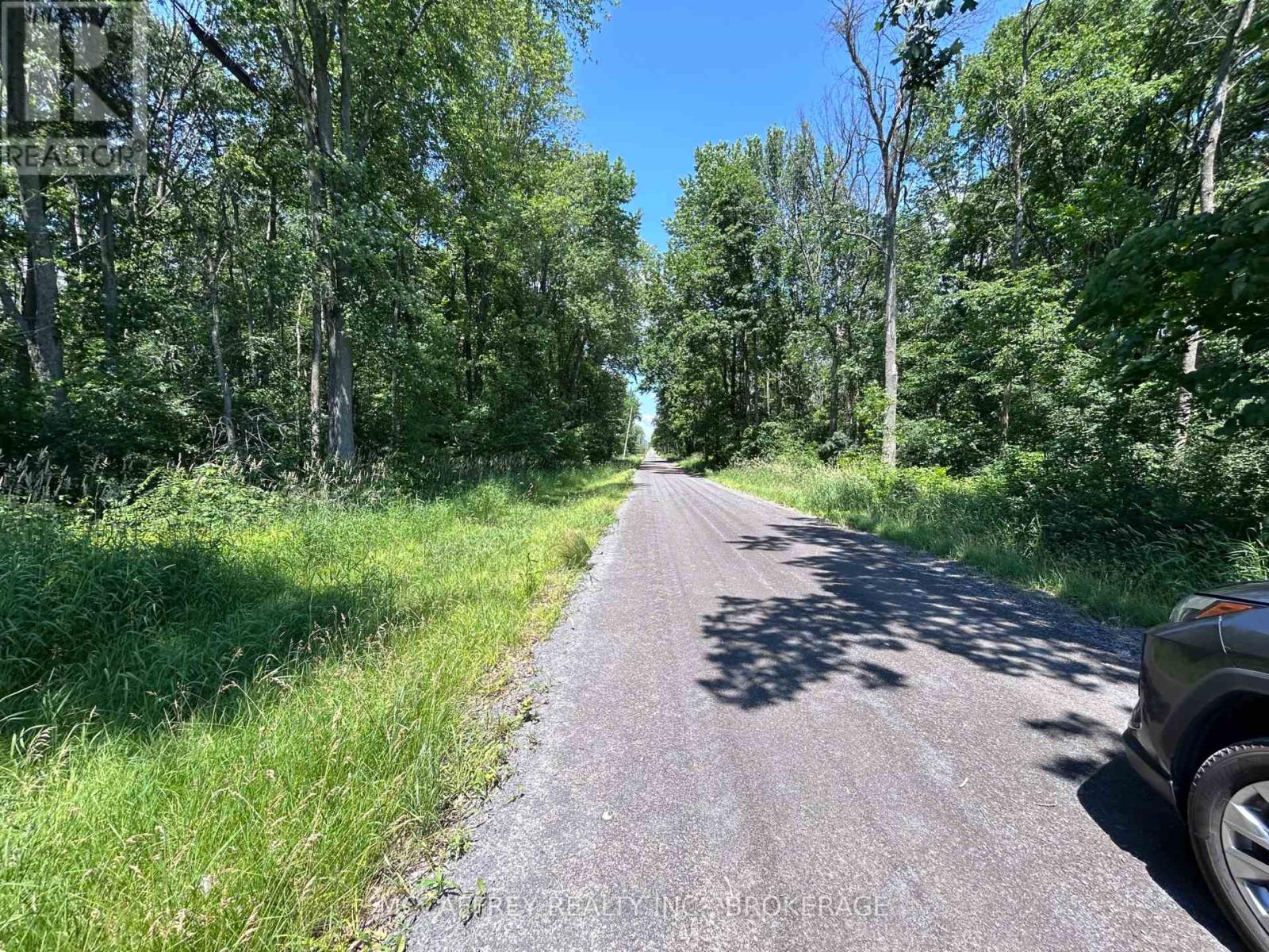 358 Townline Road, Greater Napanee, Ontario  K0H 1G0 - Photo 4 - X13506196