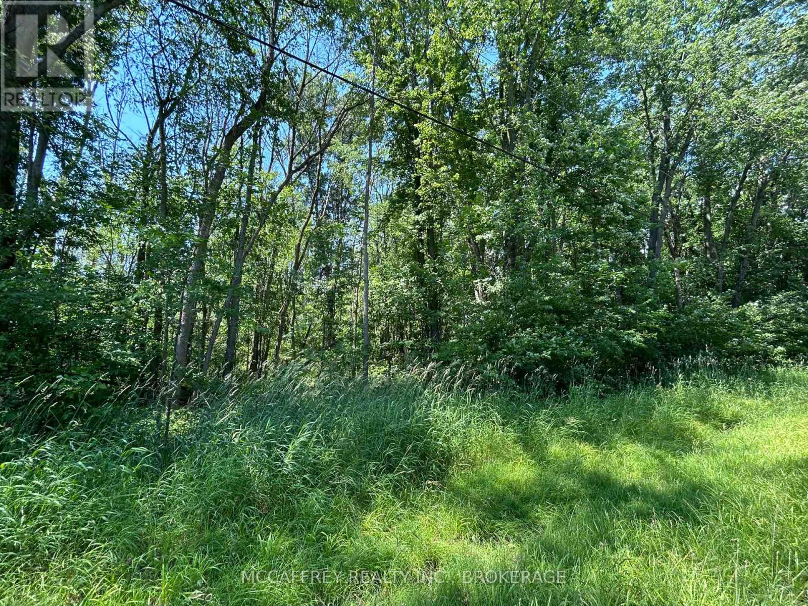 358 Townline Road, Greater Napanee, Ontario  K0H 1G0 - Photo 6 - X13506196