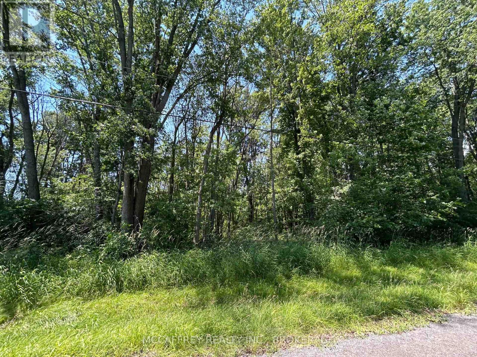 358 Townline Road, Greater Napanee, Ontario  K0H 1G0 - Photo 7 - X13506196