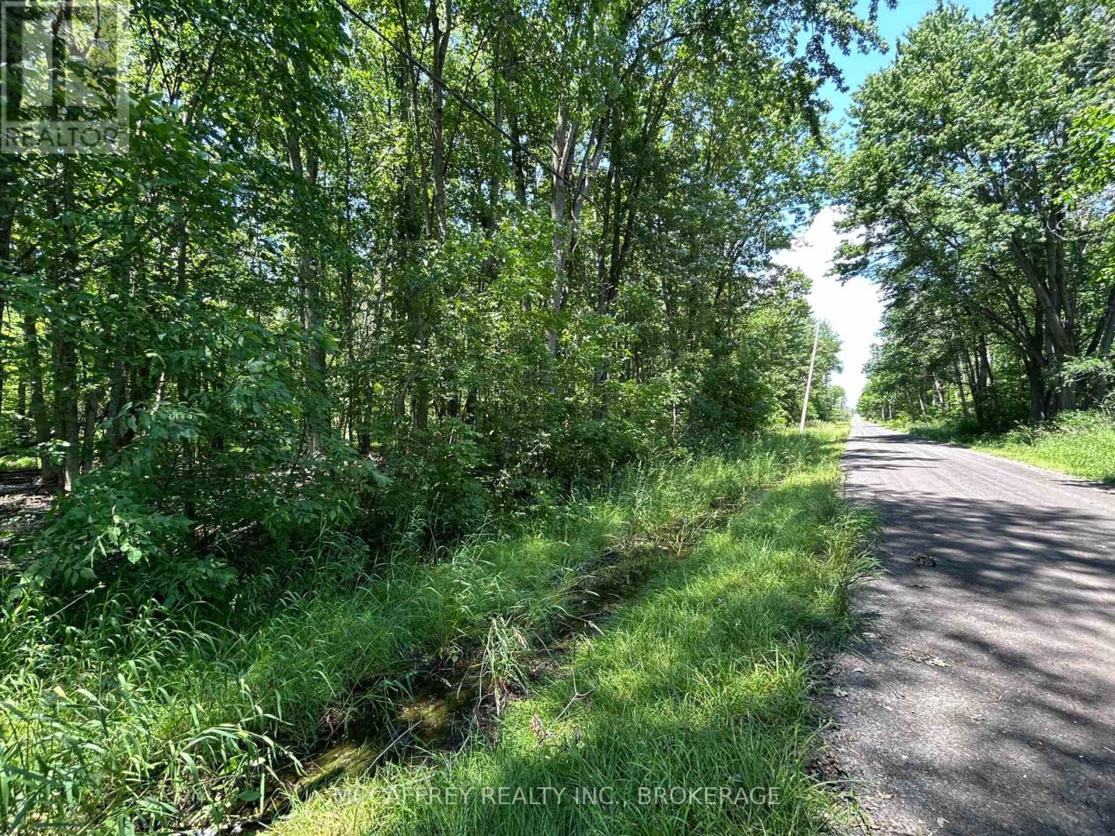 358 Townline Road, Greater Napanee, Ontario  K0H 1G0 - Photo 9 - X13506196