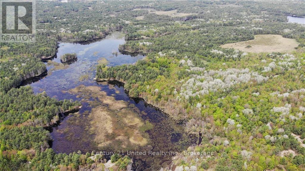 Lt 9 N 1/2 Lt 10 Con 13, Kawartha Lakes, Ontario  L0K 1W0 - Photo 2 - X13506336