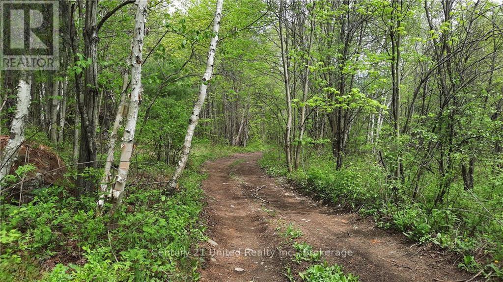 Lt 9 N 1/2 Lt 10 Con 13, Kawartha Lakes, Ontario  L0K 1W0 - Photo 3 - X13506336