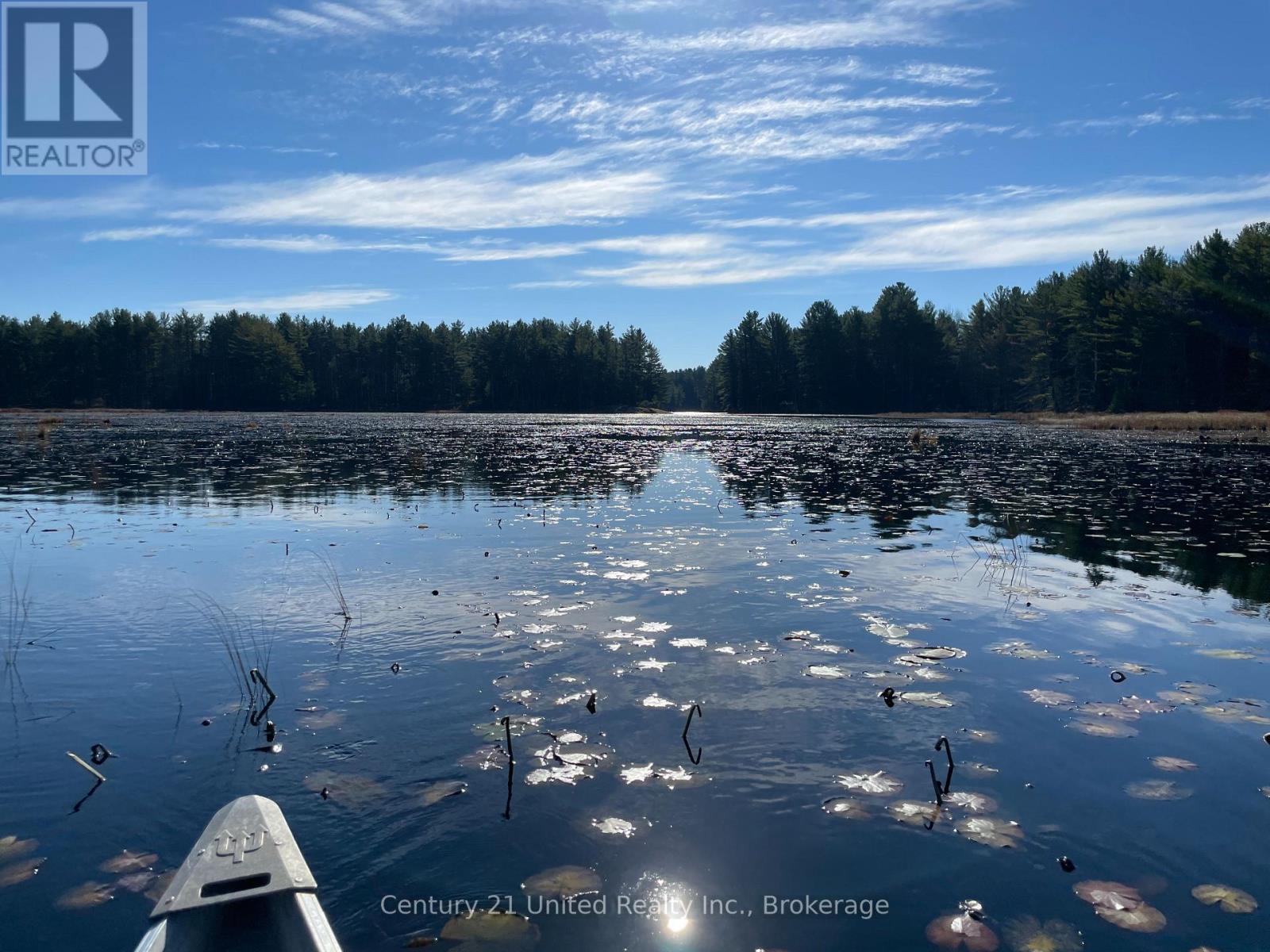 Lt 9 N 1/2 Lt 10 Con 13, Kawartha Lakes, Ontario  L0K 1W0 - Photo 8 - X13506336