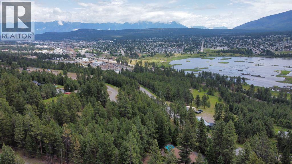 1110 Jim Smith Lake Road, Cranbrook, British Columbia V1C 6W7 - Photo 11 - 10393008