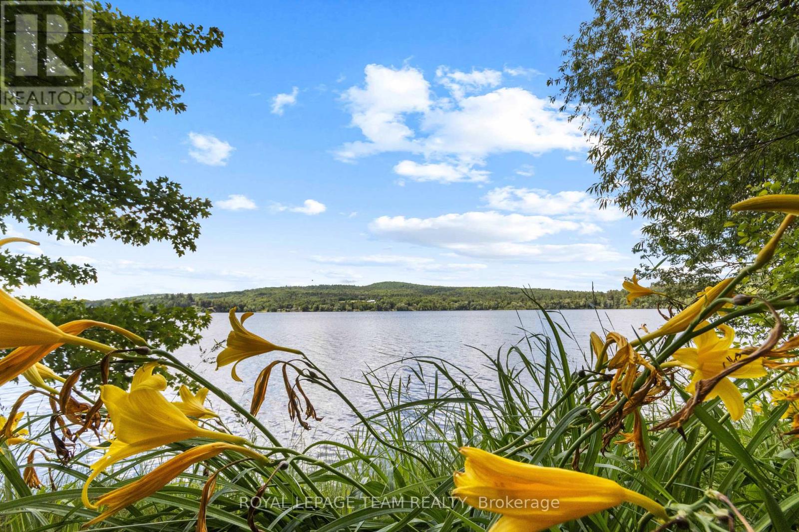 156 Mask Island Drive, Madawaska Valley, Ontario  K0J 1B0 - Photo 3 - X13506276