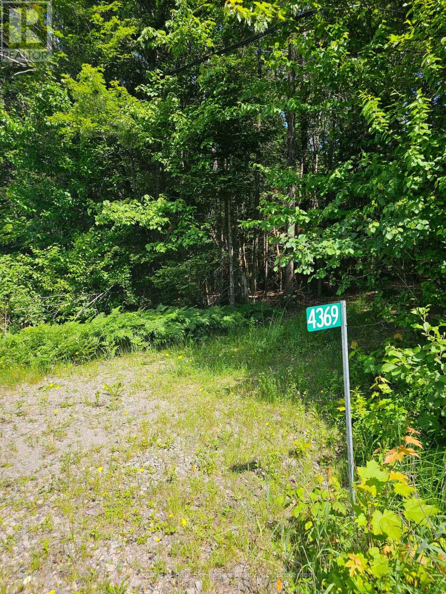 4369 Highway 534, Nipissing, Ontario  P0H 1W0 - Photo 1 - X13506210