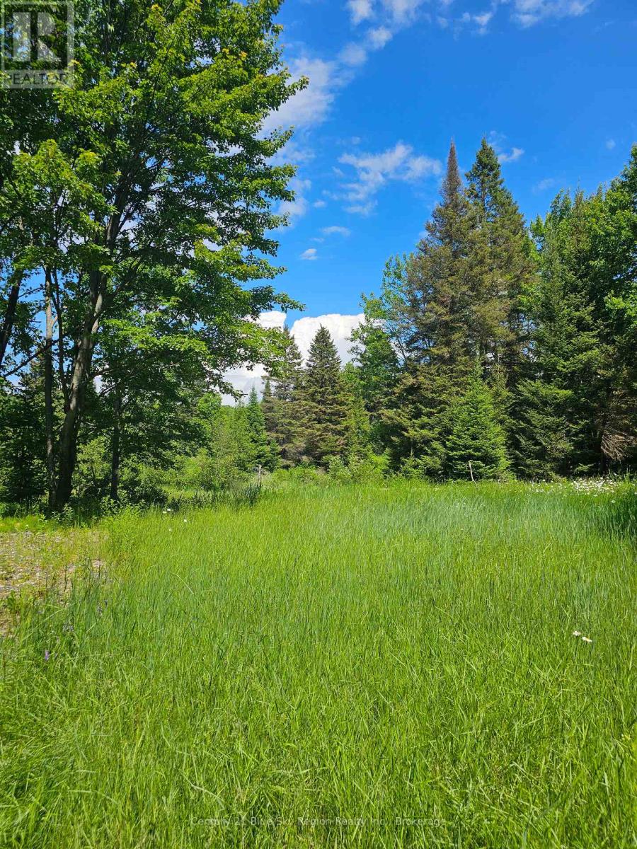 4369 Highway 534, Nipissing, Ontario  P0H 1W0 - Photo 10 - X13506210