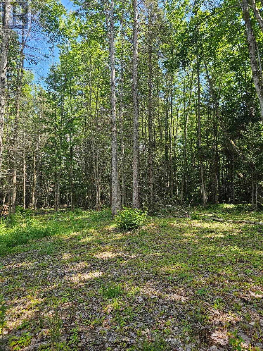4369 Highway 534, Nipissing, Ontario  P0H 1W0 - Photo 11 - X13506210