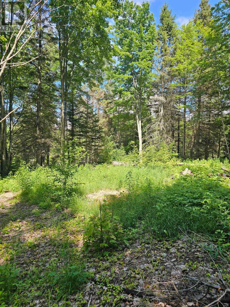 4369 Highway 534, Nipissing, Ontario  P0H 1W0 - Photo 12 - X13506210