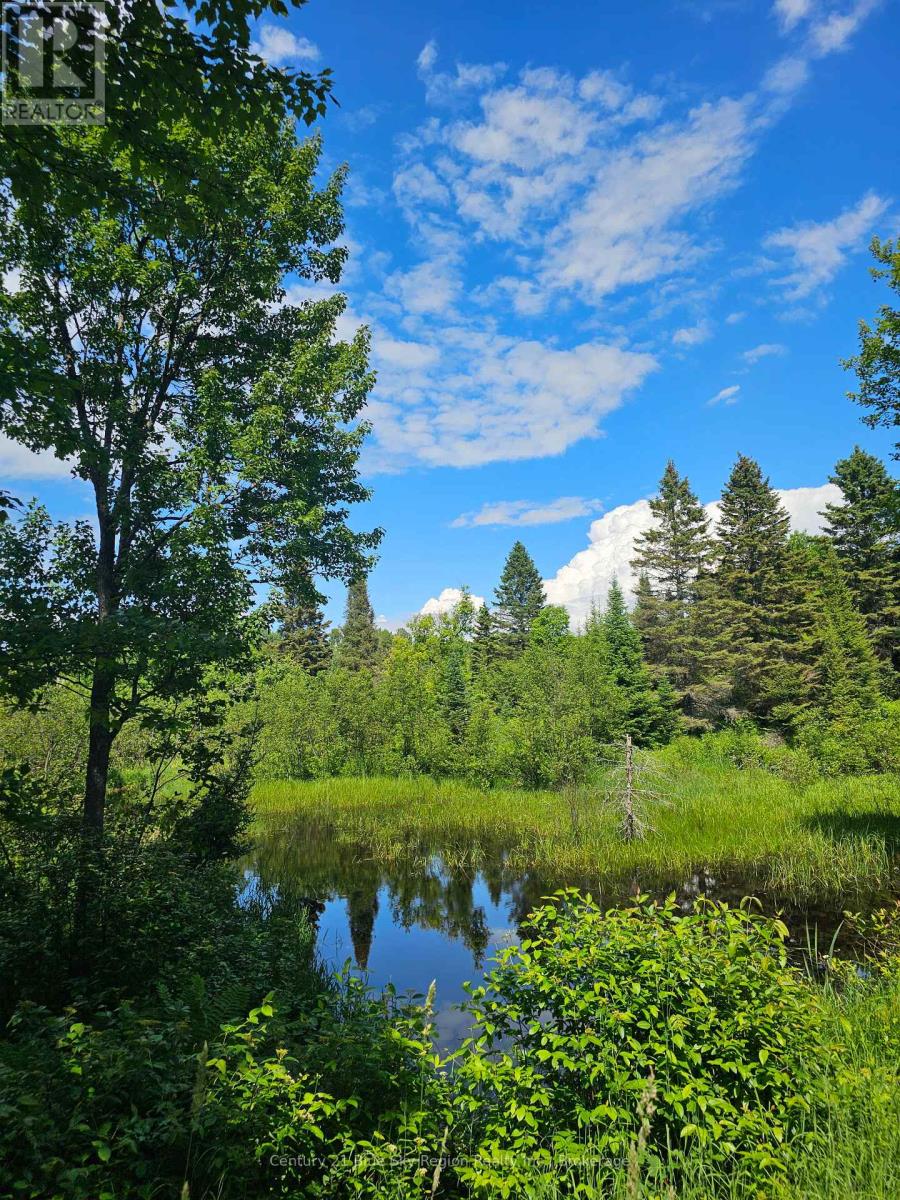 4369 Highway 534, Nipissing, Ontario  P0H 1W0 - Photo 14 - X13506210