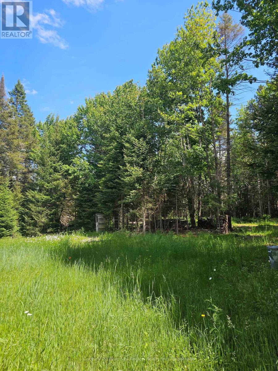 4369 Highway 534, Nipissing, Ontario  P0H 1W0 - Photo 15 - X13506210