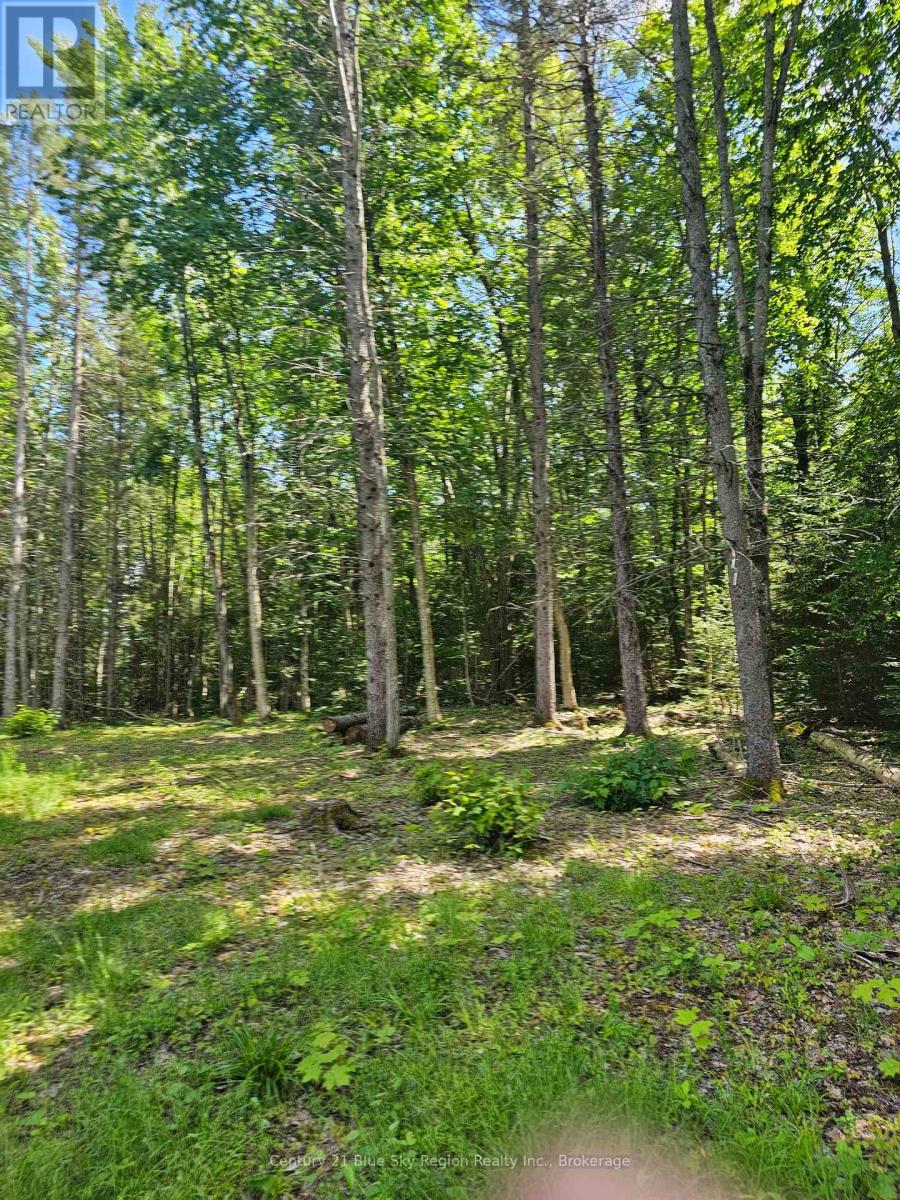 4369 Highway 534, Nipissing, Ontario  P0H 1W0 - Photo 16 - X13506210