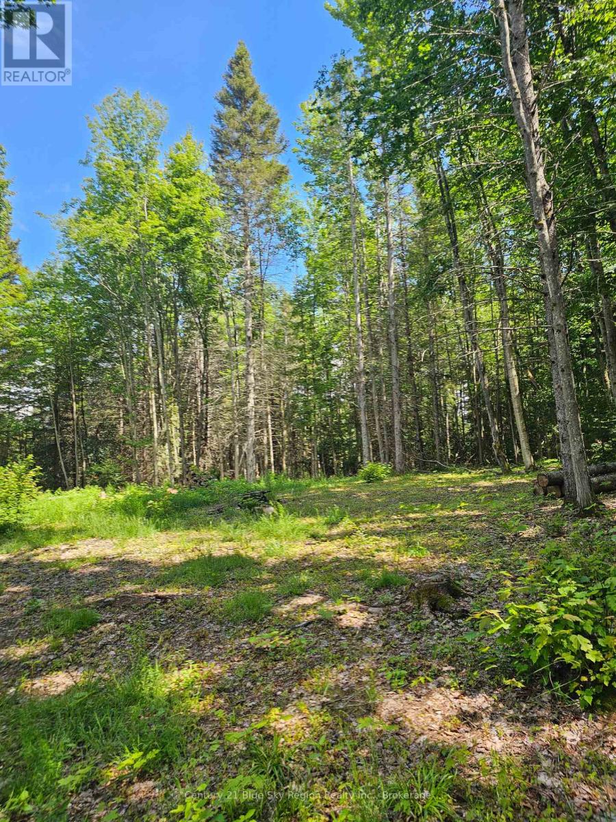 4369 Highway 534, Nipissing, Ontario  P0H 1W0 - Photo 17 - X13506210