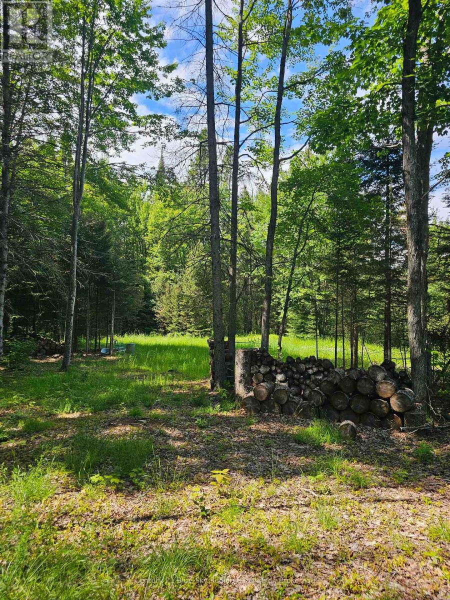 4369 Highway 534, Nipissing, Ontario  P0H 1W0 - Photo 18 - X13506210