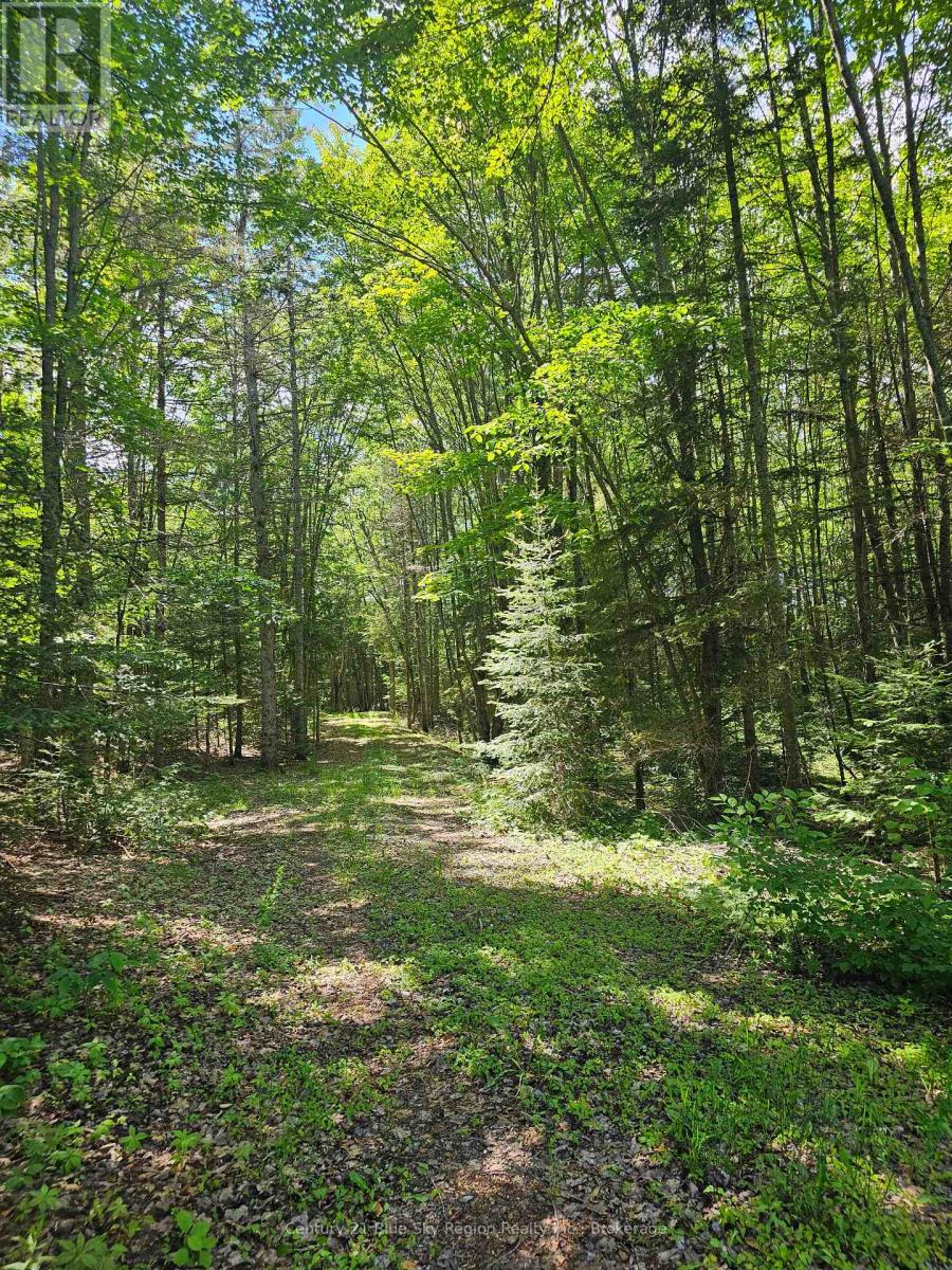 4369 Highway 534, Nipissing, Ontario  P0H 1W0 - Photo 19 - X13506210