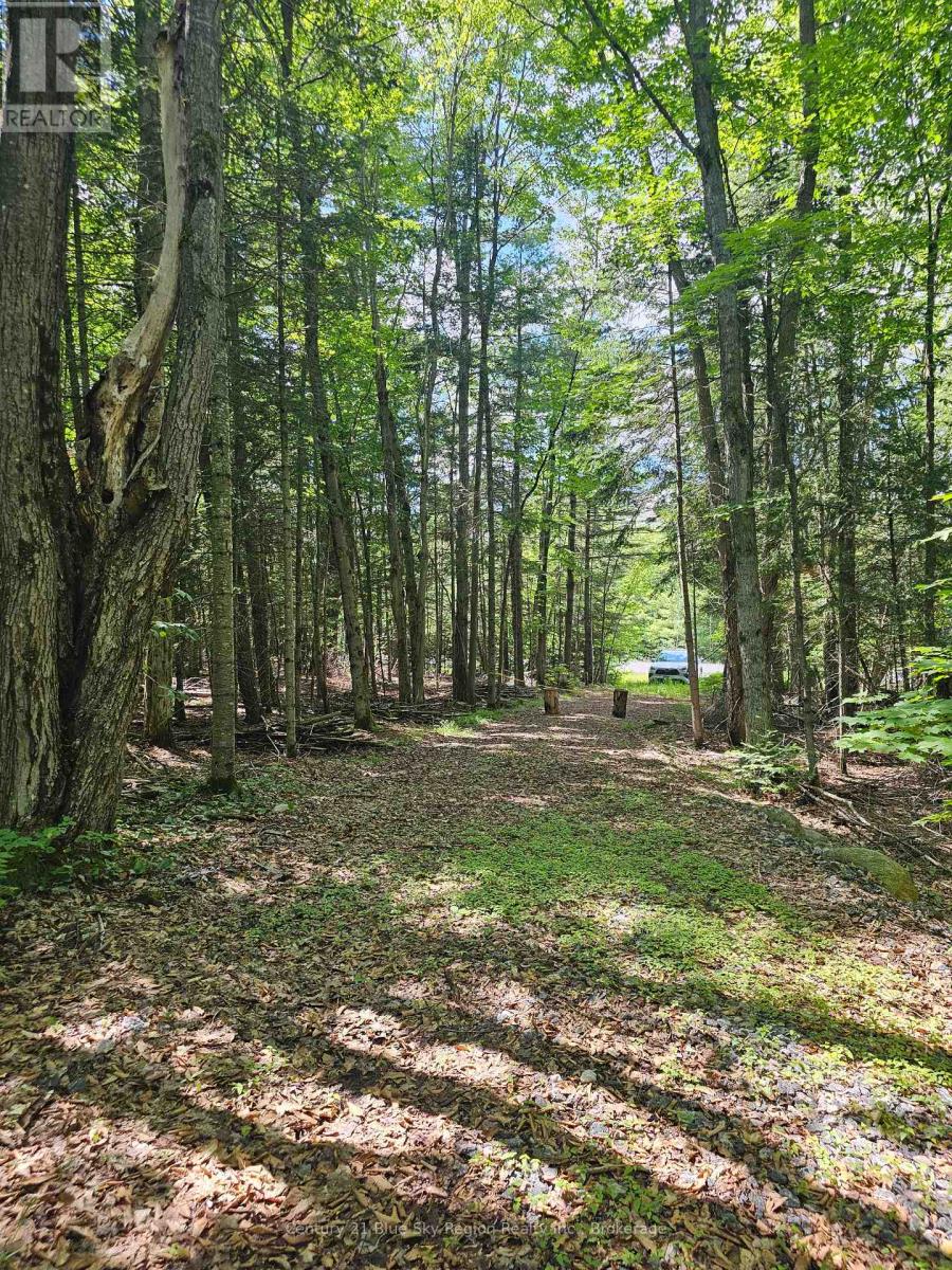 4369 Highway 534, Nipissing, Ontario  P0H 1W0 - Photo 4 - X13506210