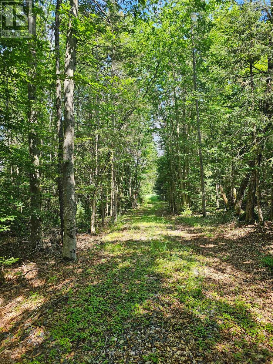 4369 Highway 534, Nipissing, Ontario  P0H 1W0 - Photo 5 - X13506210