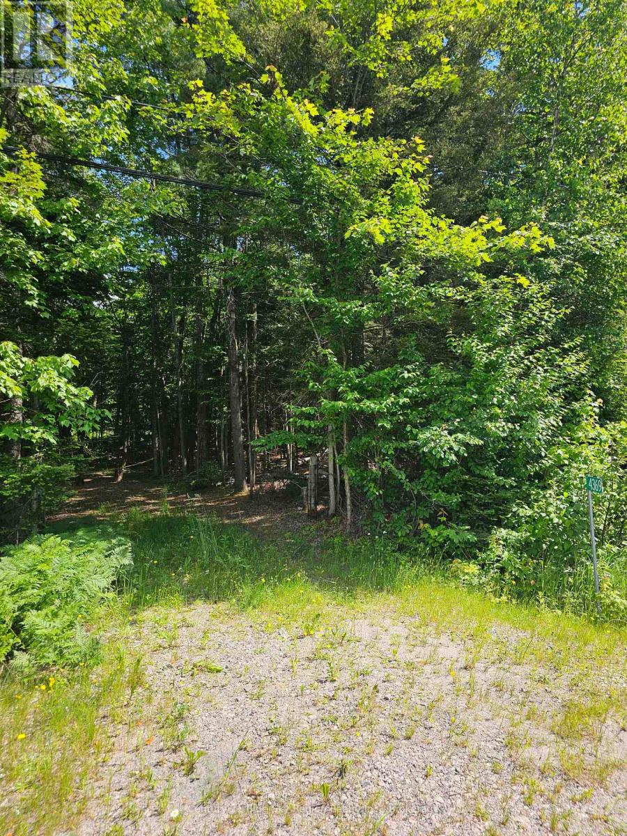 4369 Highway 534, Nipissing, Ontario  P0H 1W0 - Photo 6 - X13506210