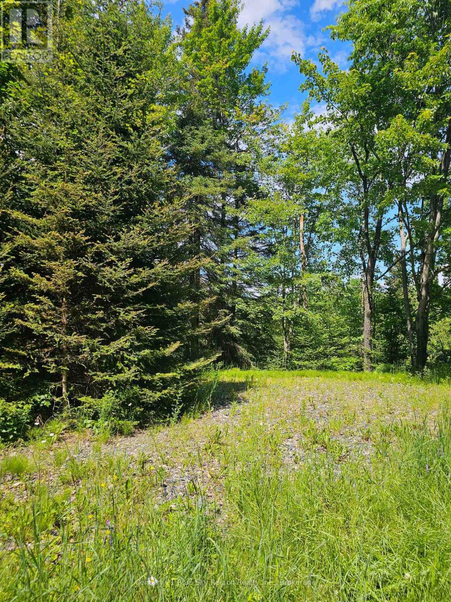 4369 Highway 534, Nipissing, Ontario  P0H 1W0 - Photo 7 - X13506210