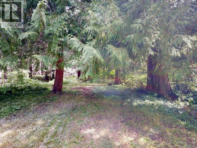 Listing image 45