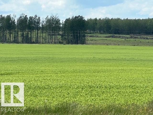 9007 Twp Road 563, Rural Lac Ste. Anne County, Alberta  T0E 1N0 - Photo 17 - E4496424