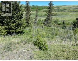 6 Rustler's Ridge, Rural Pincher Creek No. 9, Alberta