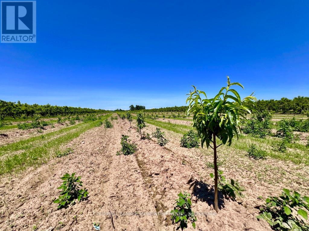 672 East West Line, Niagara-On-The-Lake, Ontario  L0S 1J0 - Photo 42 - X13507174