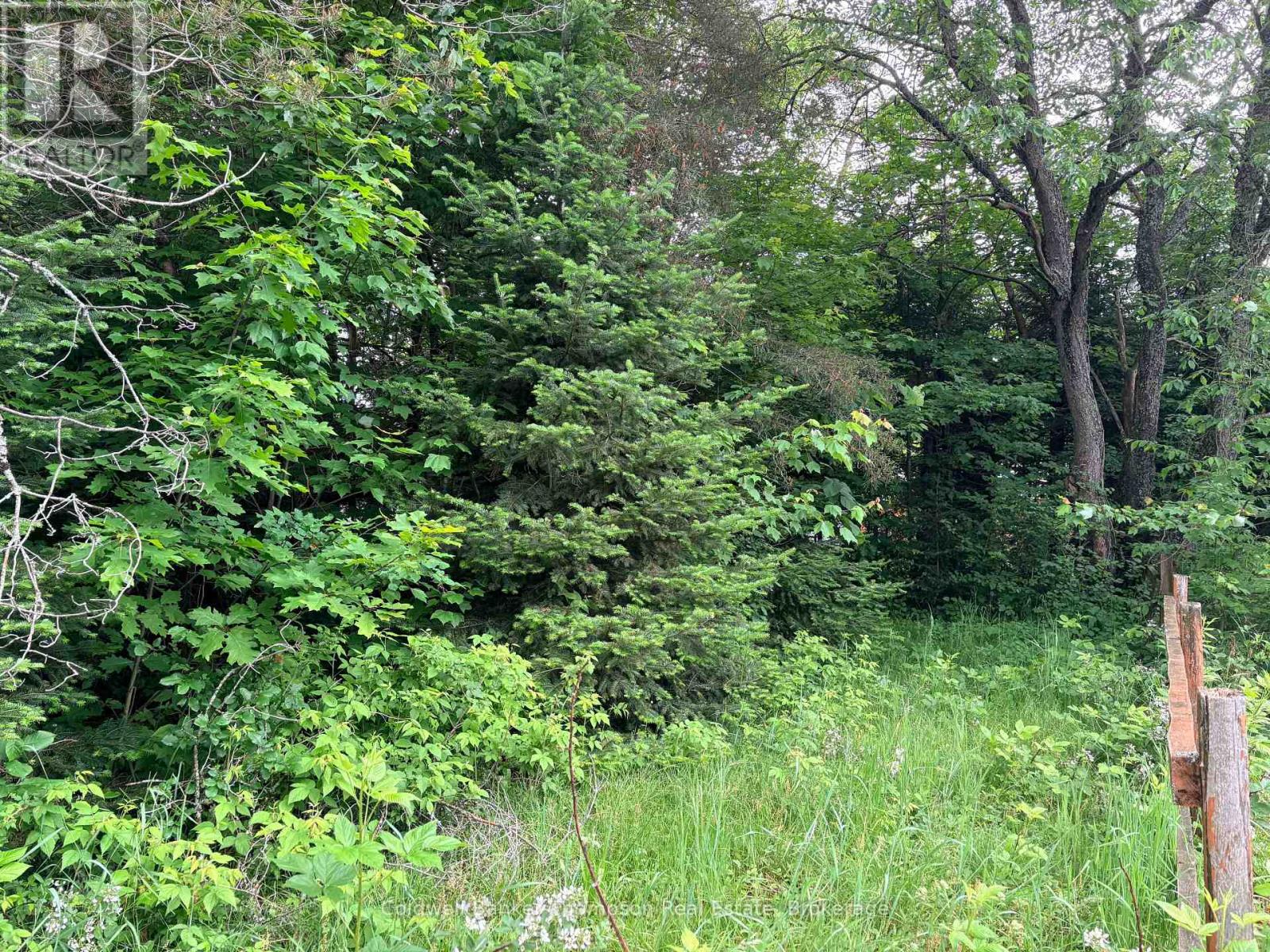 2197 Stisted Road S, Mcmurrich/monteith, Ontario P0A 1Y0 - Photo 6 - X13487080