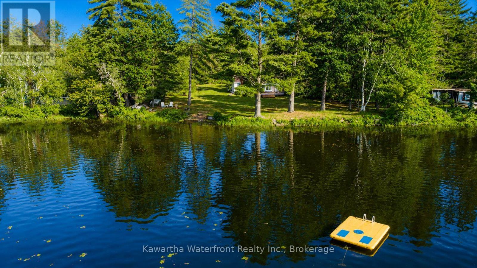 388 North Shore Road, Kawartha Lakes (Laxton/digby/longford), Ontario  K0M 2B0 - Photo 5 - X13506860