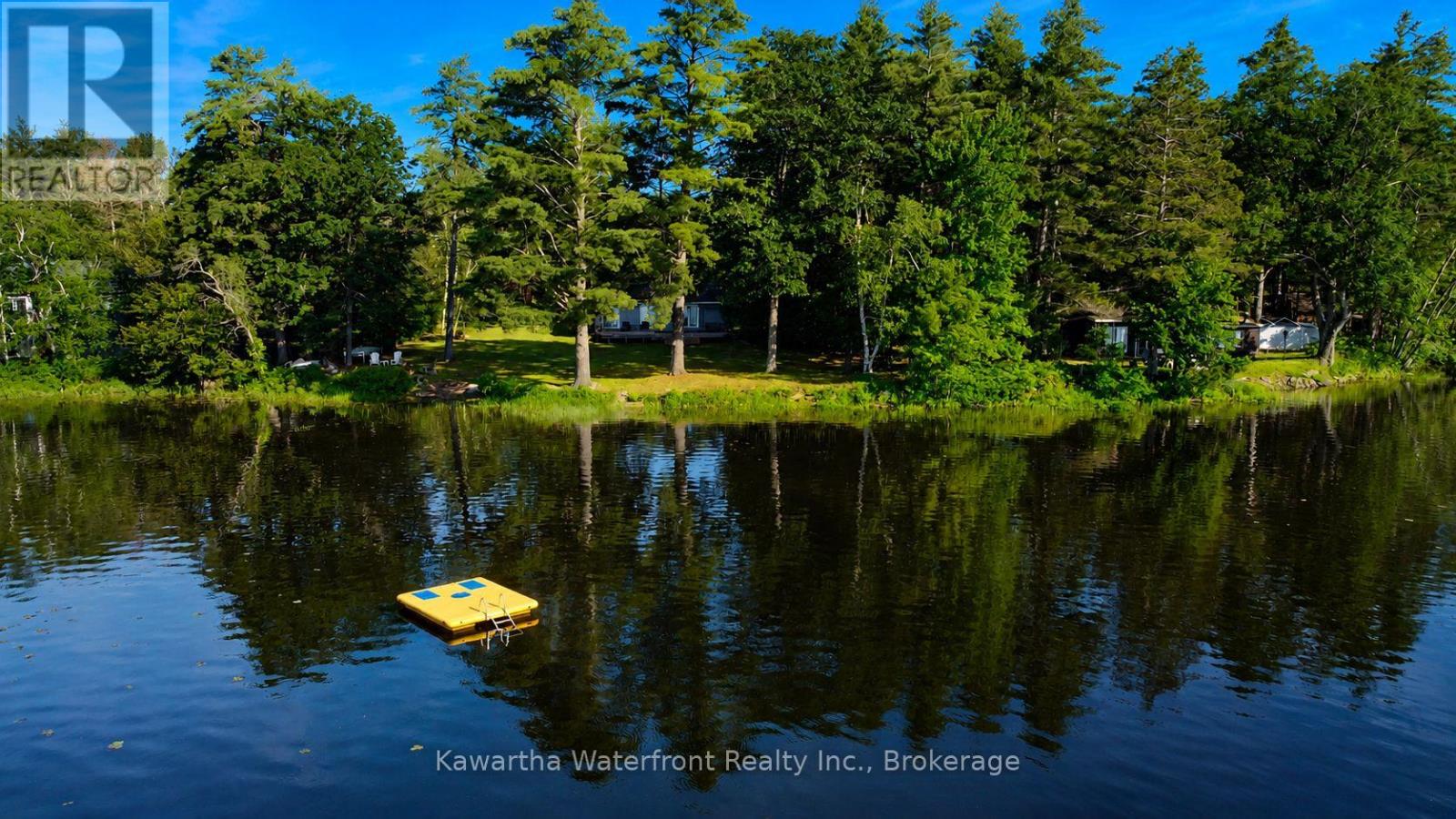 388 North Shore Road, Kawartha Lakes (Laxton/digby/longford), Ontario  K0M 2B0 - Photo 4 - X13506860