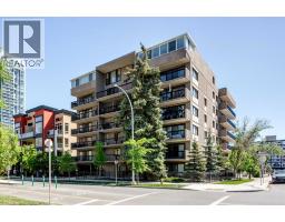 204, 1033 15 Avenue SW, Calgary, Alberta