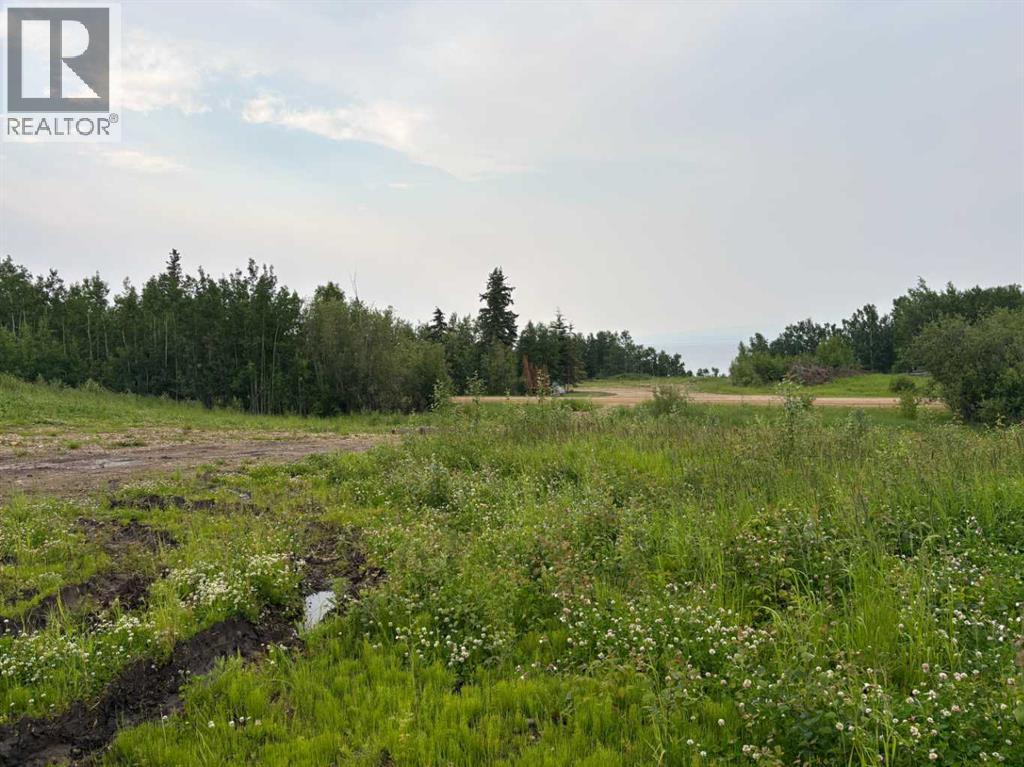 Lot 2 Southshore Drive, Canyon Creek, Alberta  T0G 0M0 - Photo 2 - A2325327