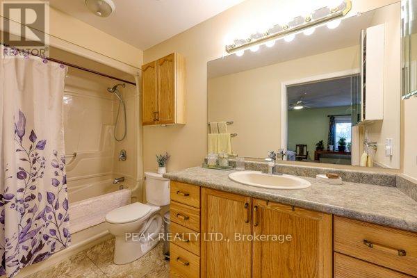 217 North Street E, Tillsonburg, Ontario N4G 1B8 - Photo 23 - X13507876