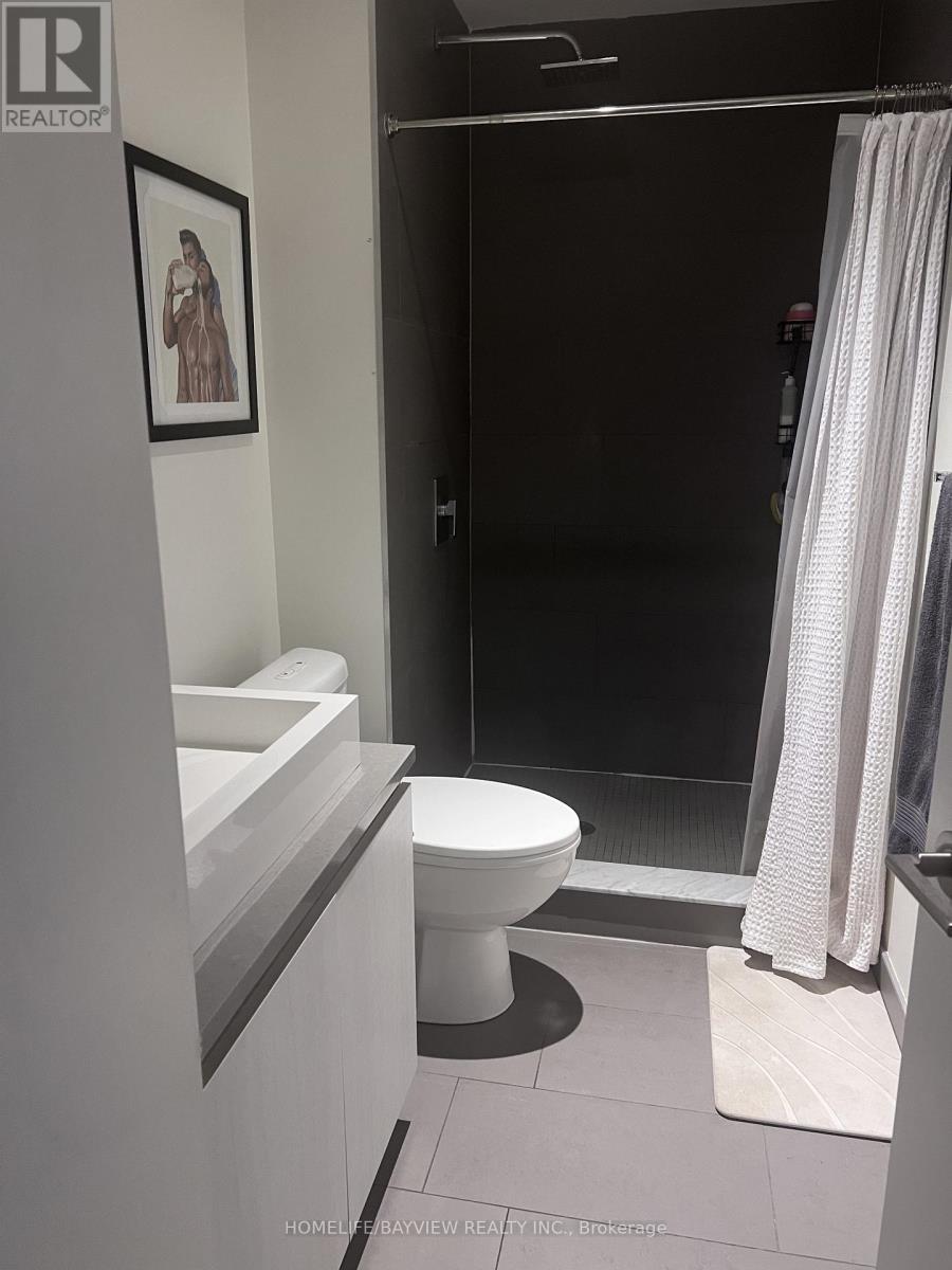403 - 111 Bathurst Street, Toronto, Ontario  M5V 1N6 - Photo 12 - C13507170