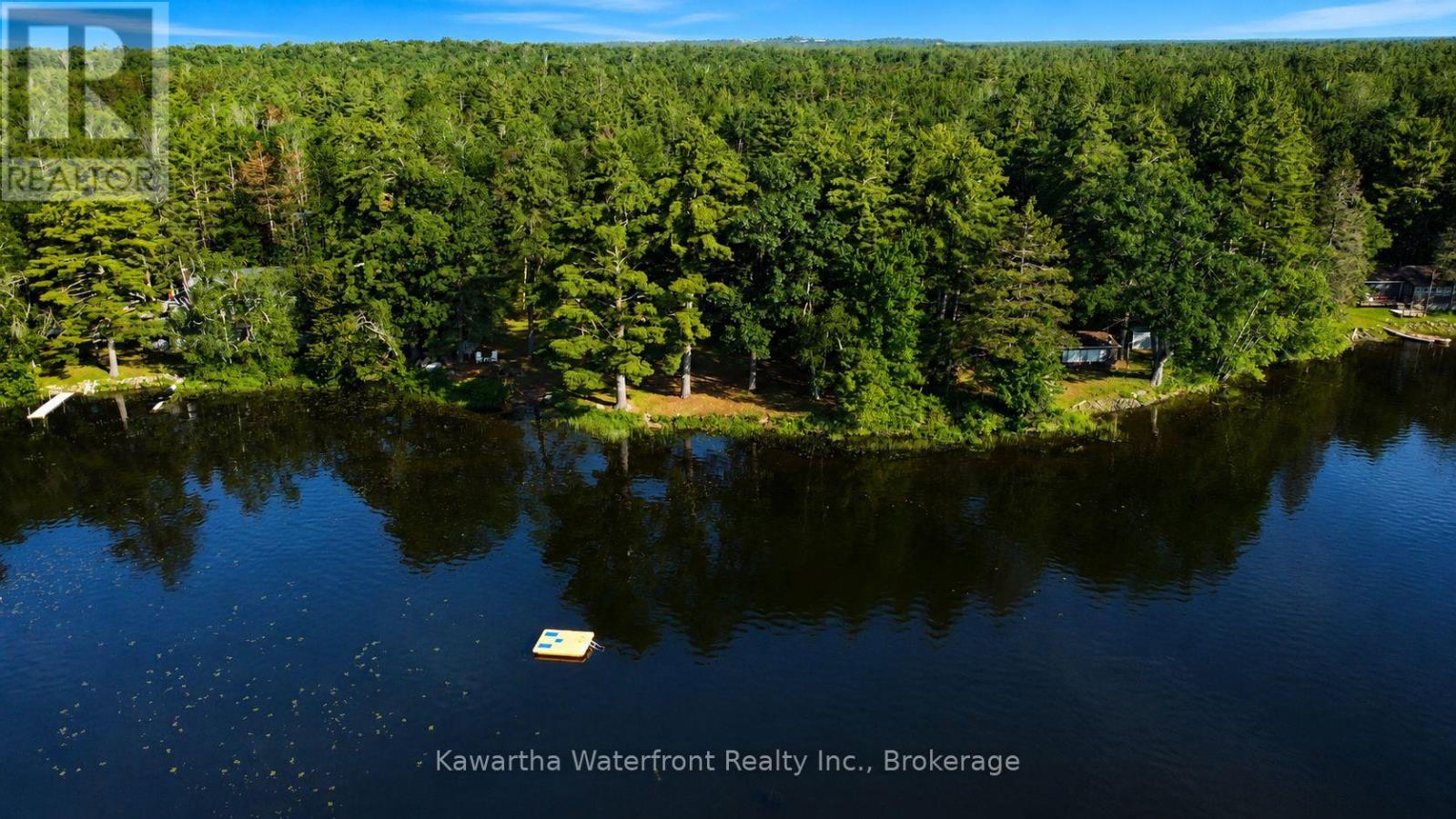388 North Shore Road, Kawartha Lakes, Ontario  K0M 2B0 - Photo 3 - X13506860