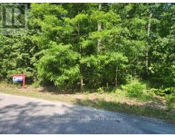46 OAKWOOD AVENUE N, Tiny, Ontario
