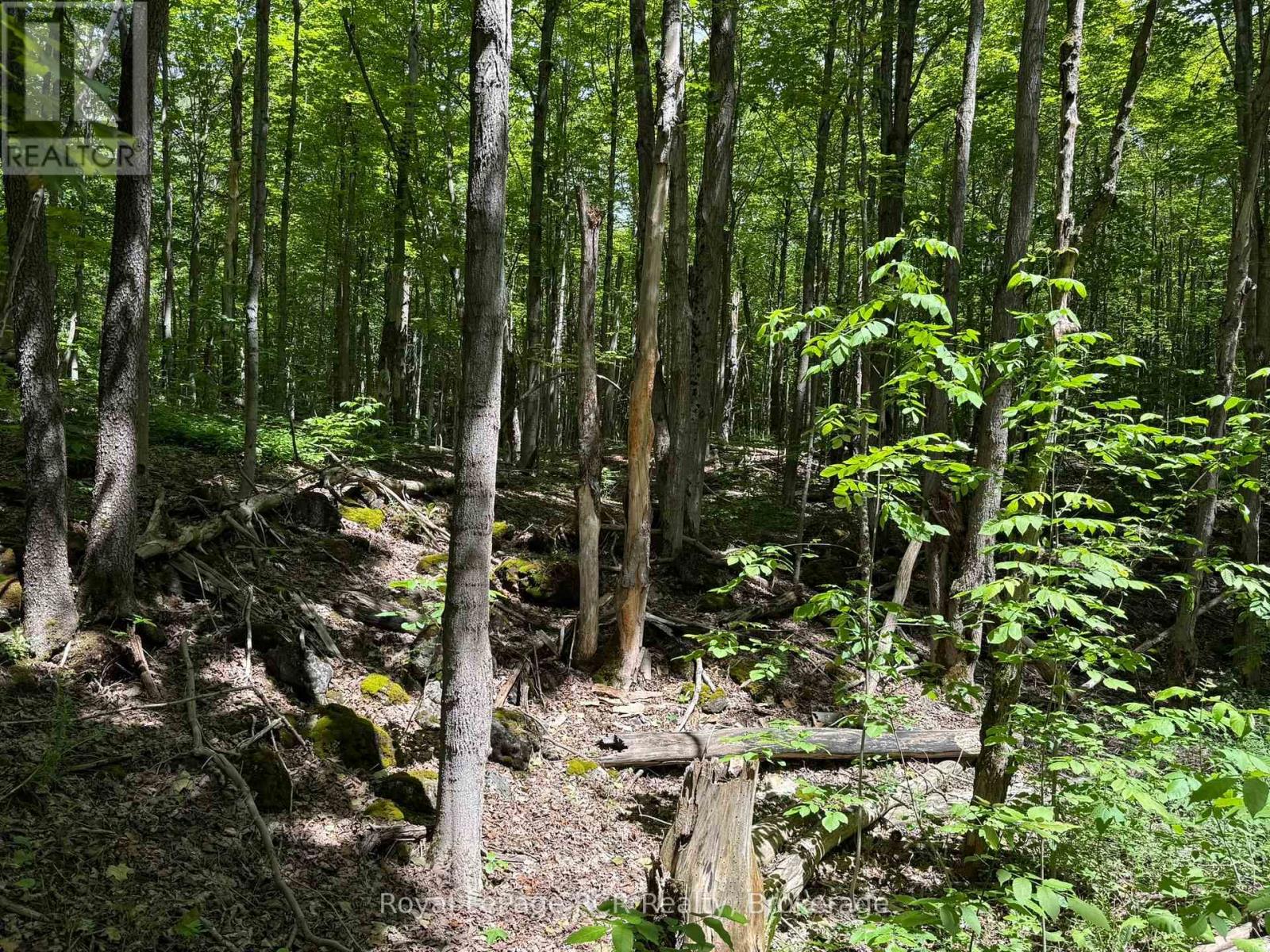 Lot 53/54 West Back Line, Chatsworth, Ontario  N0C 1H0 - Photo 13 - X13048708