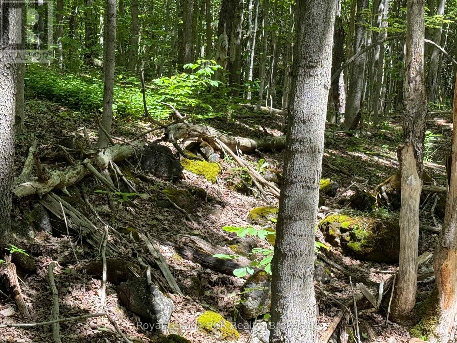 Lot 53/54 West Back Line, Chatsworth, Ontario  N0C 1H0 - Photo 14 - X13048708