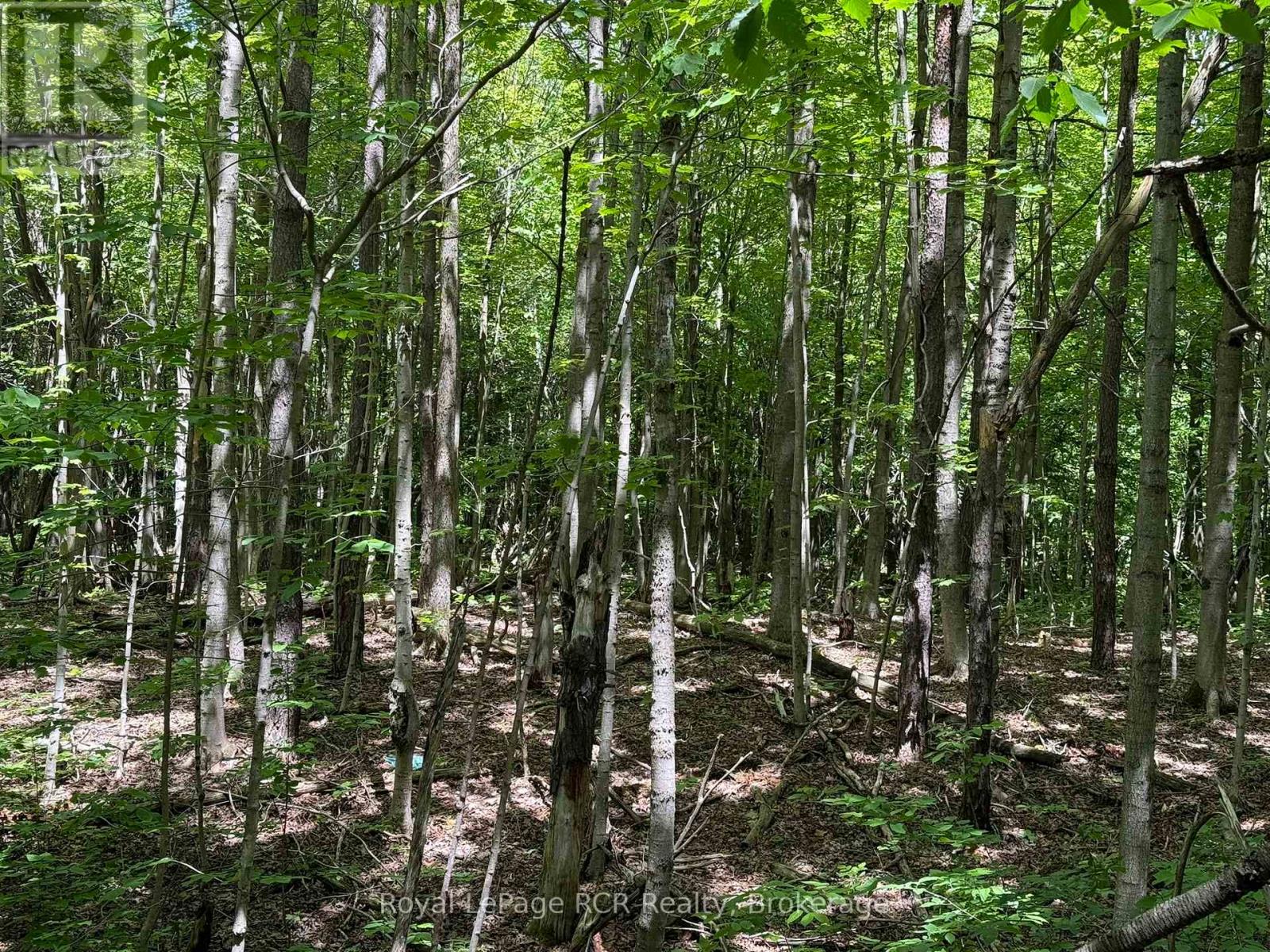 Lot 53/54 West Back Line, Chatsworth, Ontario  N0C 1H0 - Photo 16 - X13048708