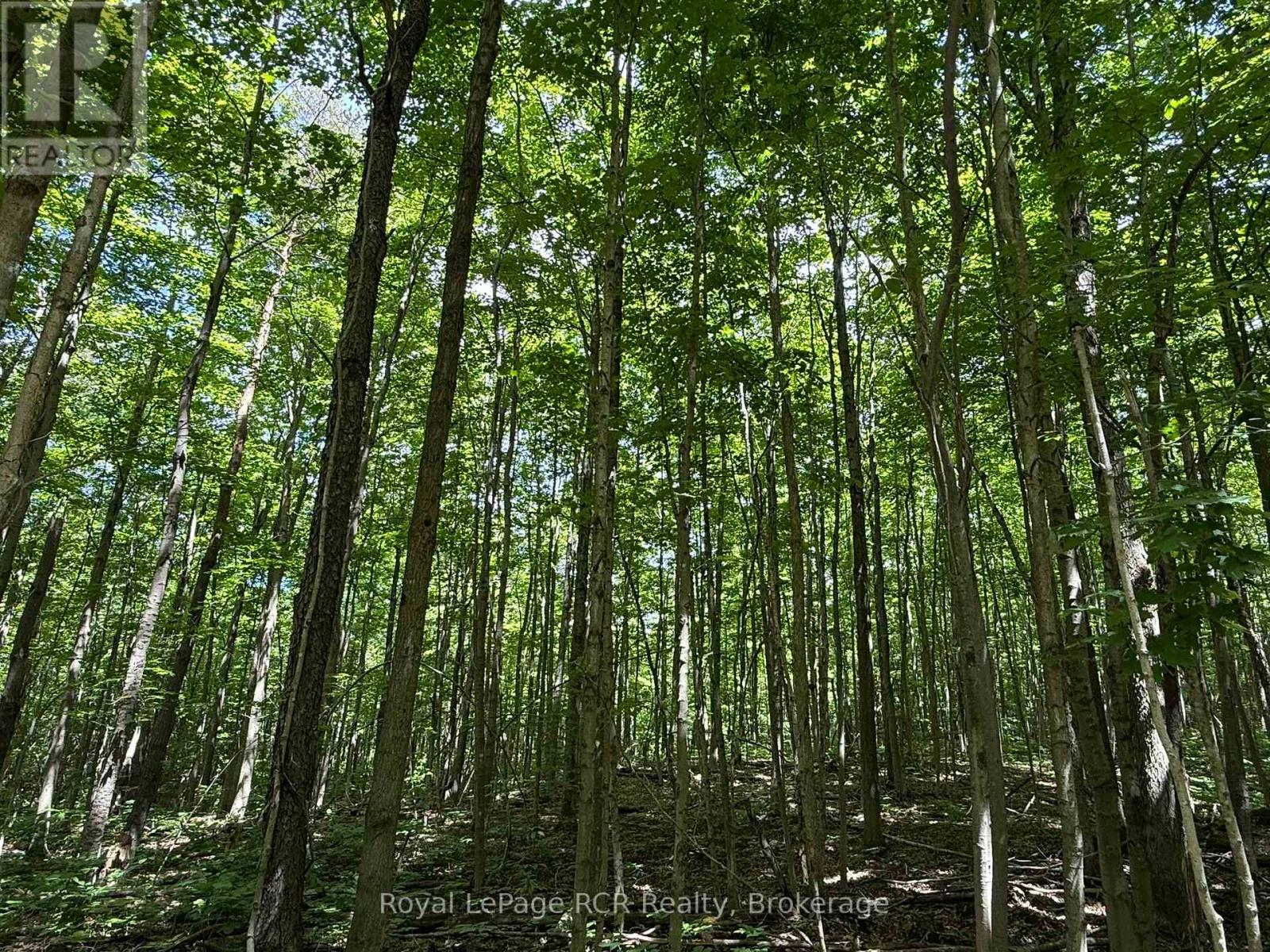 Lot 53/54 West Back Line, Chatsworth, Ontario  N0C 1H0 - Photo 17 - X13048708
