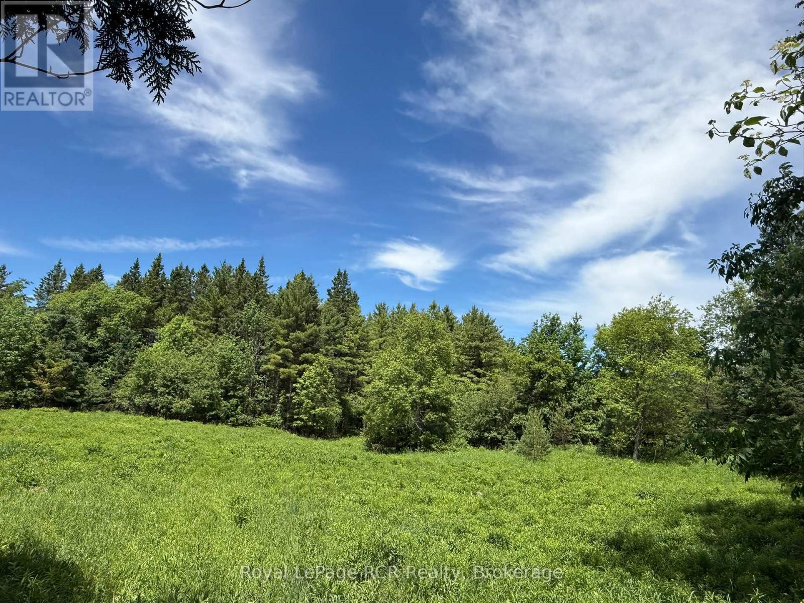 Lot 53/54 West Back Line, Chatsworth, Ontario  N0C 1H0 - Photo 22 - X13048708