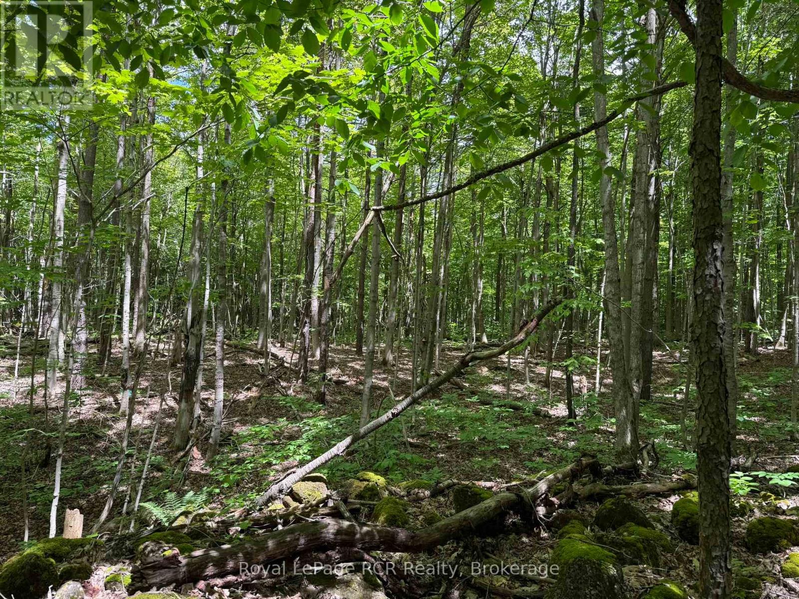 Lot 53/54 West Back Line, Chatsworth, Ontario  N0C 1H0 - Photo 15 - X13048708