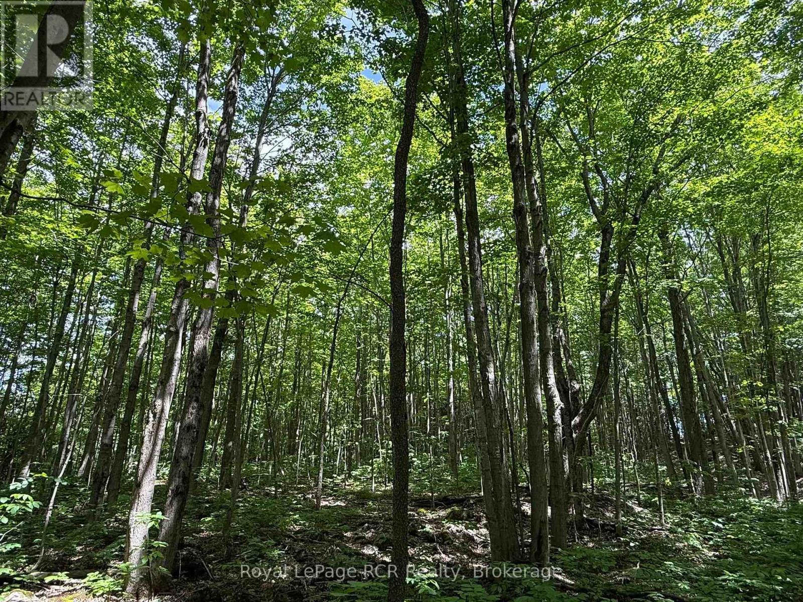 Lot 53/54 West Back Line, Chatsworth, Ontario  N0C 1H0 - Photo 18 - X13048708